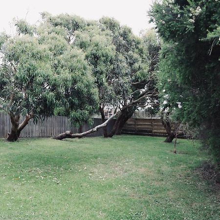 Red Ceder Cottage - Great Ocean Road - ميناء كامبل المظهر الخارجي الصورة